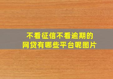 不看征信不看逾期的网贷有哪些平台呢图片