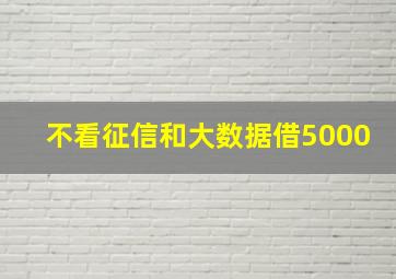 不看征信和大数据借5000