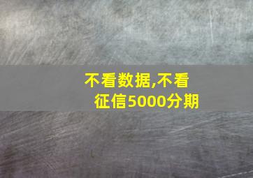 不看数据,不看征信5000分期