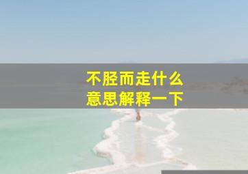 不胫而走什么意思解释一下