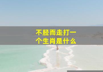 不胫而走打一个生肖是什么