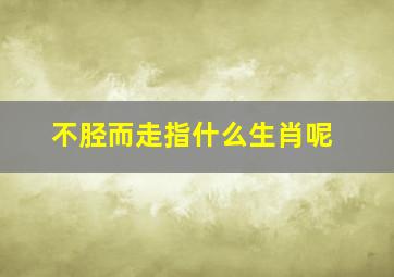 不胫而走指什么生肖呢