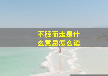 不胫而走是什么意思怎么读