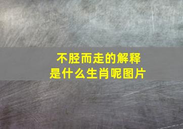 不胫而走的解释是什么生肖呢图片