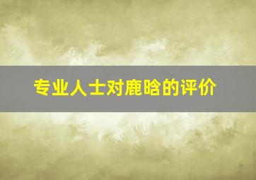 专业人士对鹿晗的评价