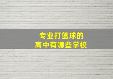 专业打篮球的高中有哪些学校