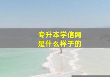 专升本学信网是什么样子的