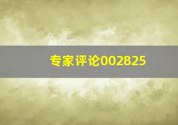 专家评论002825