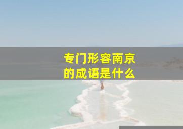 专门形容南京的成语是什么