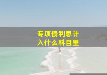 专项债利息计入什么科目里