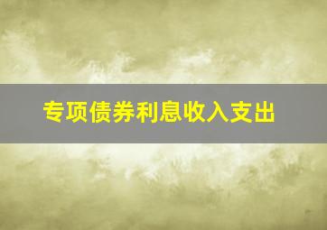 专项债券利息收入支出