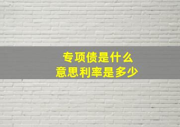 专项债是什么意思利率是多少