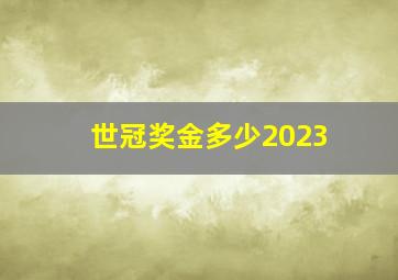 世冠奖金多少2023