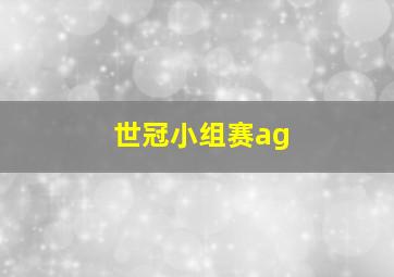 世冠小组赛ag