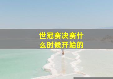 世冠赛决赛什么时候开始的