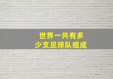 世界一共有多少支足球队组成