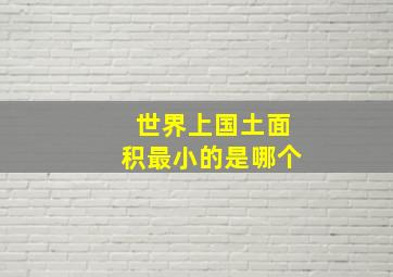 世界上国土面积最小的是哪个