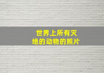 世界上所有灭绝的动物的照片