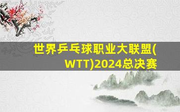 世界乒乓球职业大联盟(WTT)2024总决赛