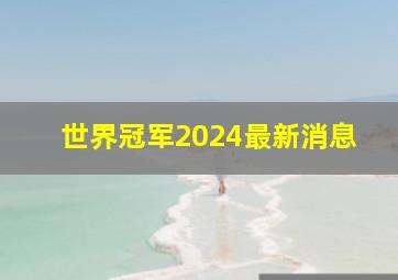 世界冠军2024最新消息