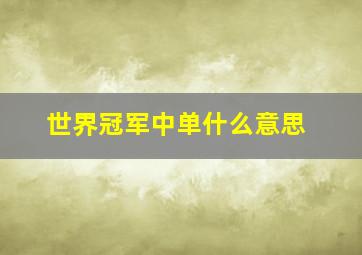 世界冠军中单什么意思