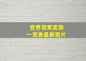 世界冠军奖励一览表最新图片