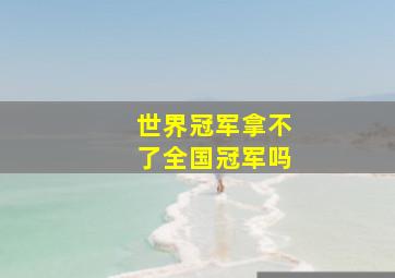 世界冠军拿不了全国冠军吗