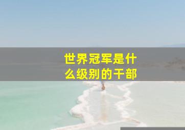 世界冠军是什么级别的干部