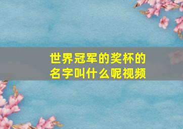 世界冠军的奖杯的名字叫什么呢视频