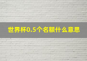 世界杯0.5个名额什么意思