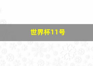 世界杯11号