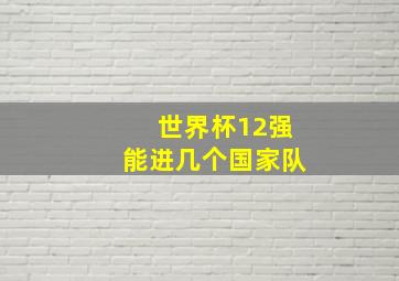 世界杯12强能进几个国家队