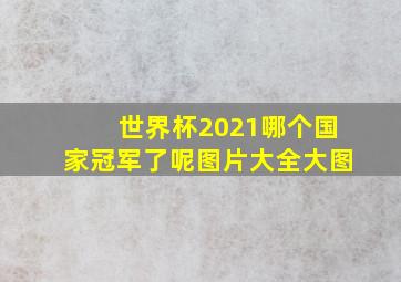 世界杯2021哪个国家冠军了呢图片大全大图