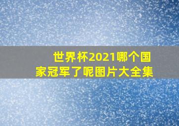 世界杯2021哪个国家冠军了呢图片大全集