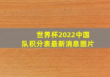 世界杯2022中国队积分表最新消息图片