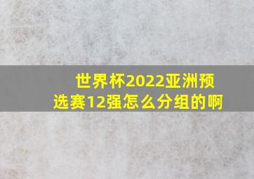 世界杯2022亚洲预选赛12强怎么分组的啊