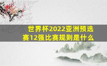 世界杯2022亚洲预选赛12强比赛规则是什么