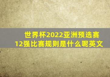 世界杯2022亚洲预选赛12强比赛规则是什么呢英文