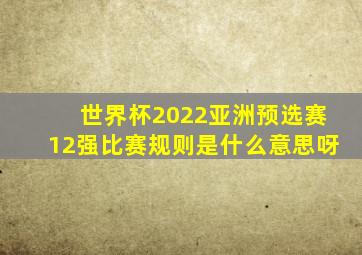 世界杯2022亚洲预选赛12强比赛规则是什么意思呀