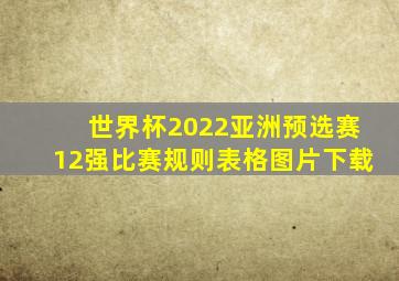 世界杯2022亚洲预选赛12强比赛规则表格图片下载