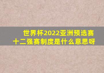 世界杯2022亚洲预选赛十二强赛制度是什么意思呀