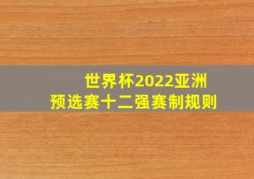 世界杯2022亚洲预选赛十二强赛制规则