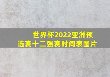 世界杯2022亚洲预选赛十二强赛时间表图片