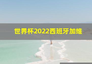 世界杯2022西班牙加维