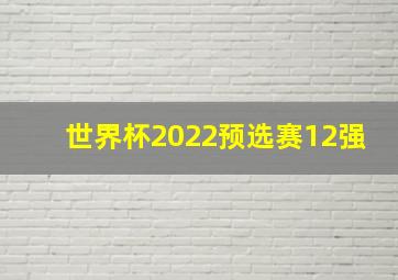 世界杯2022预选赛12强