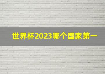 世界杯2023哪个国家第一