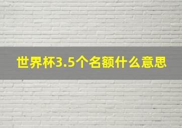 世界杯3.5个名额什么意思