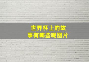 世界杯上的故事有哪些呢图片