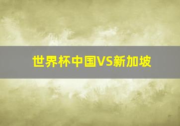 世界杯中国VS新加坡