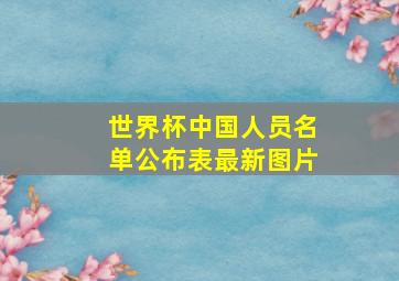 世界杯中国人员名单公布表最新图片